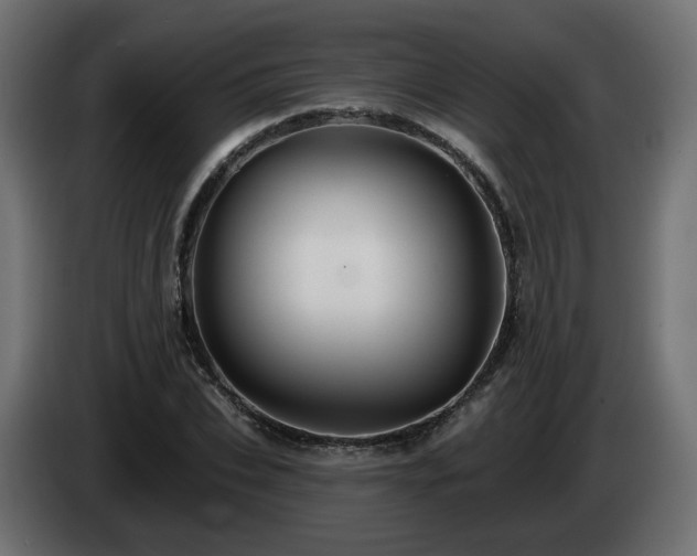 X0000084540927200703021440