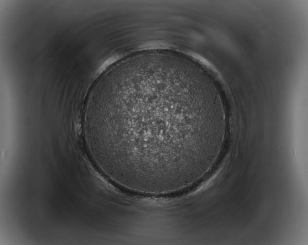 X0000084540929200703021440