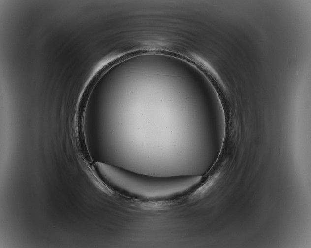 X0000084540932200703021440