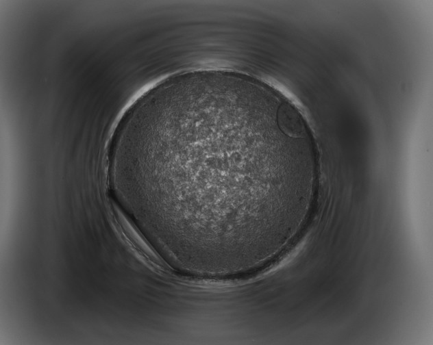 X0000084540933200703021440