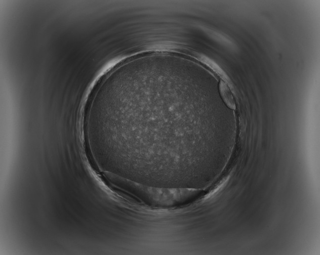 X0000084540939200703021440