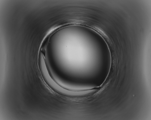 X0000084540940200703021440