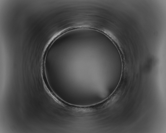 X0000084540941200703021440