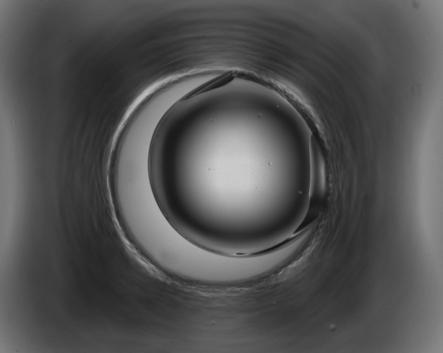X0000084540942200703021440