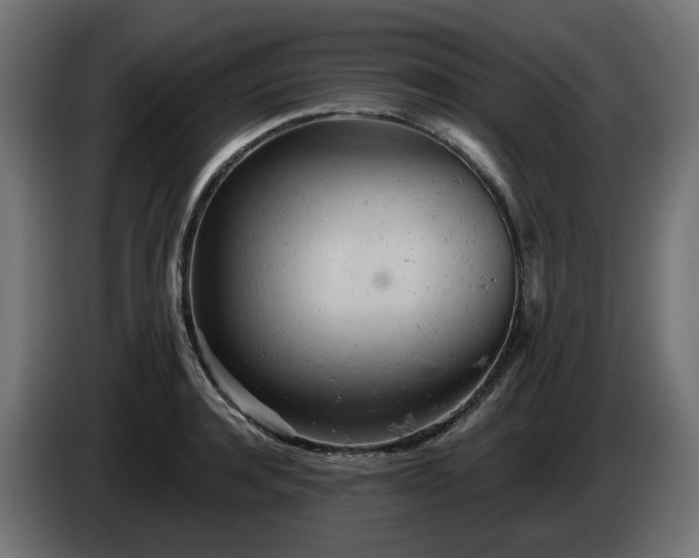 X0000084540944200703021440