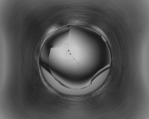 X0000084540946200703021440