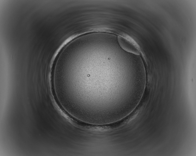 X0000084540947200703021440