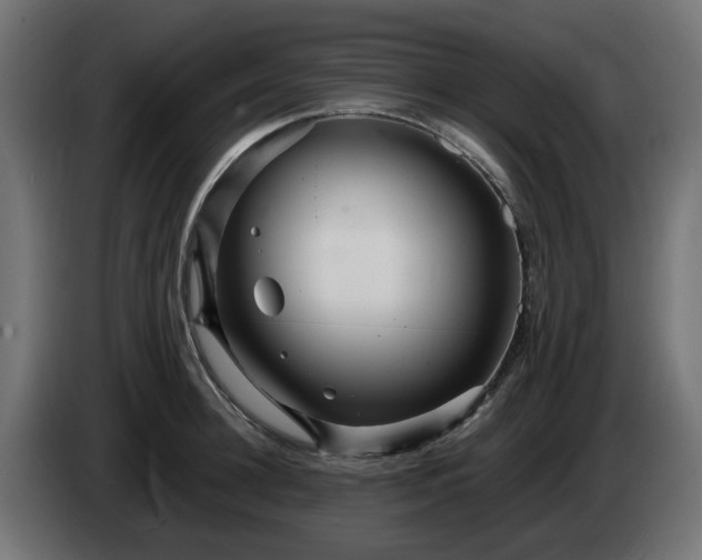X0000084540948200703021440