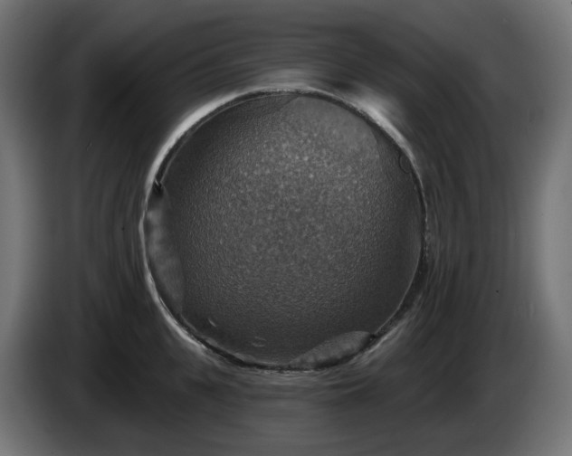 X0000084540951200703021441