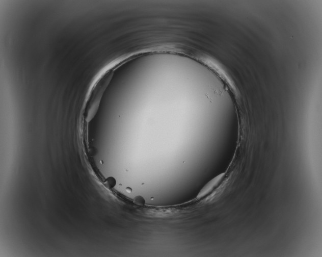 X0000084540952200703021441