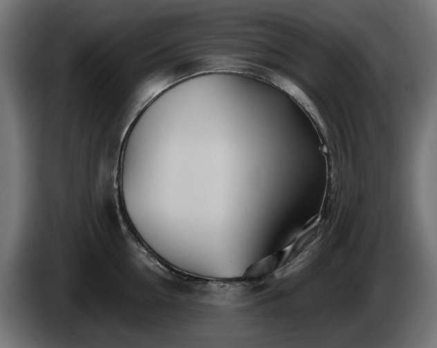 X0000084540954200703021441