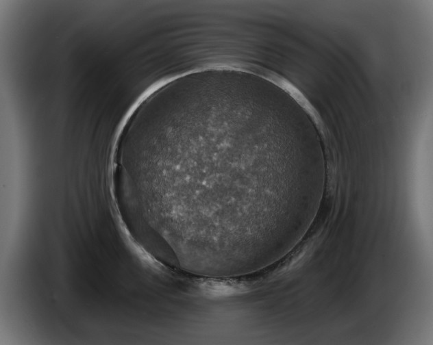 X0000084540955200703021441