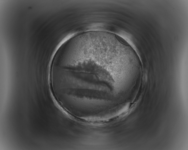 X0000084540957200703021441