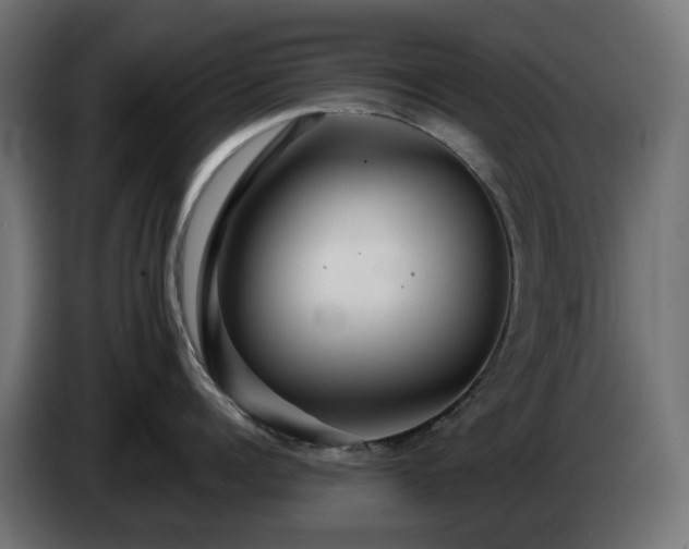 X0000084540960200703021441