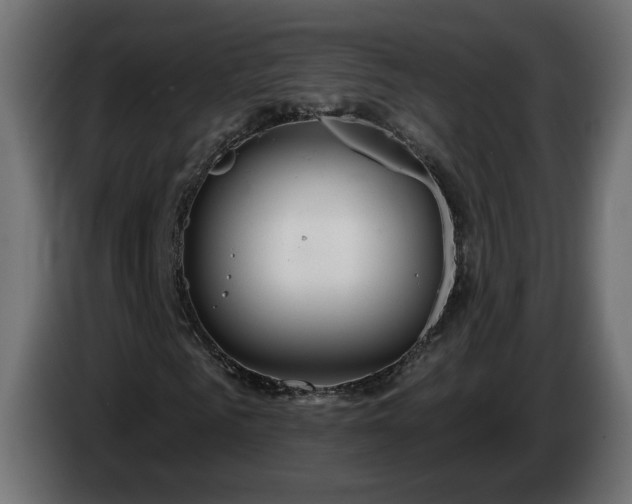 X0000084540961200703021440