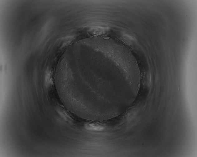 X0000084540962200703021440
