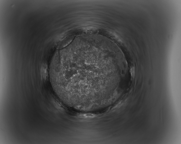 X0000084540963200703021440