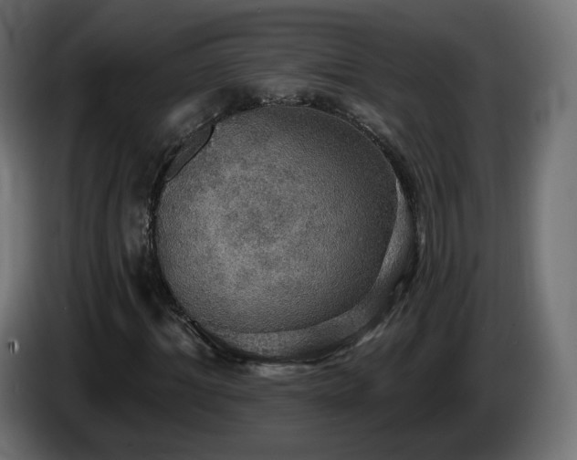 X0000084540964200703021440