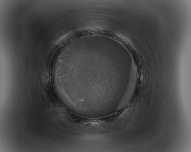 X0000084540966200703021440