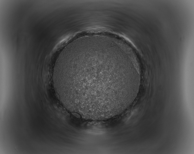 X0000084540967200703021440