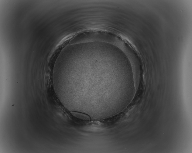 X0000084540968200703021440
