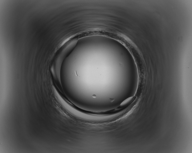 X0000084540969200703021440