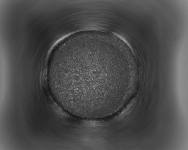 X0000084540971200703021440
