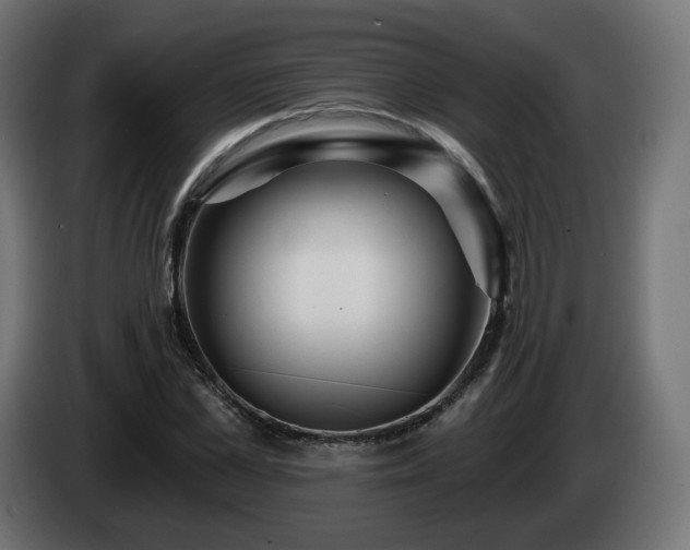 X0000084540973200703021440