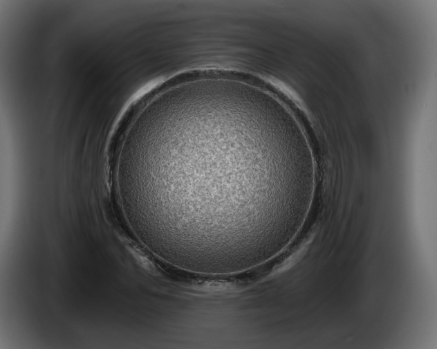 X0000084540974200703021440