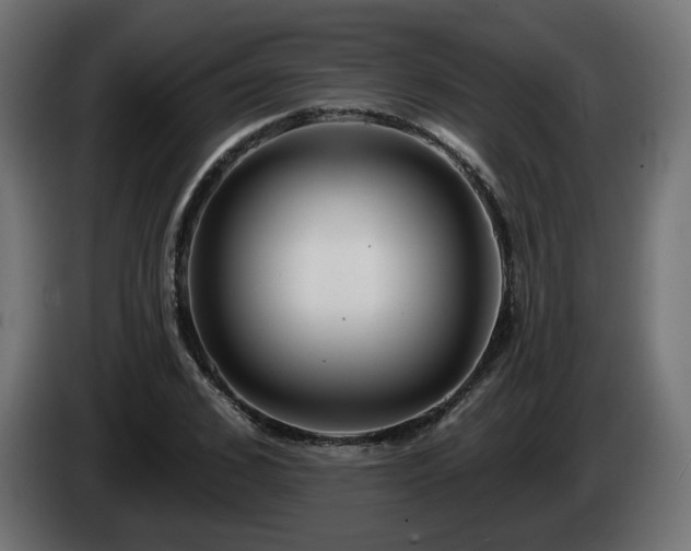 X0000084540976200703021440