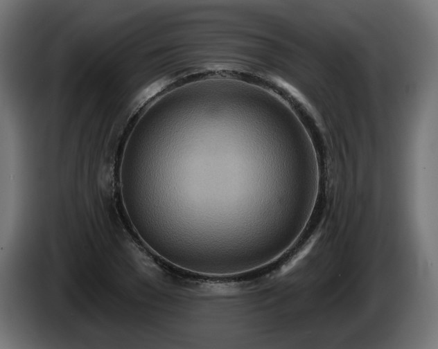 X0000084540977200703021440