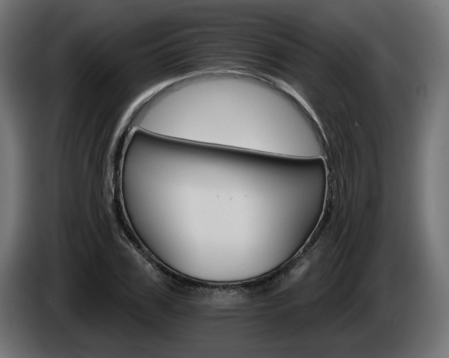 X0000084540979200703021440