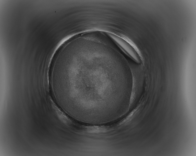 X0000084540980200703021440