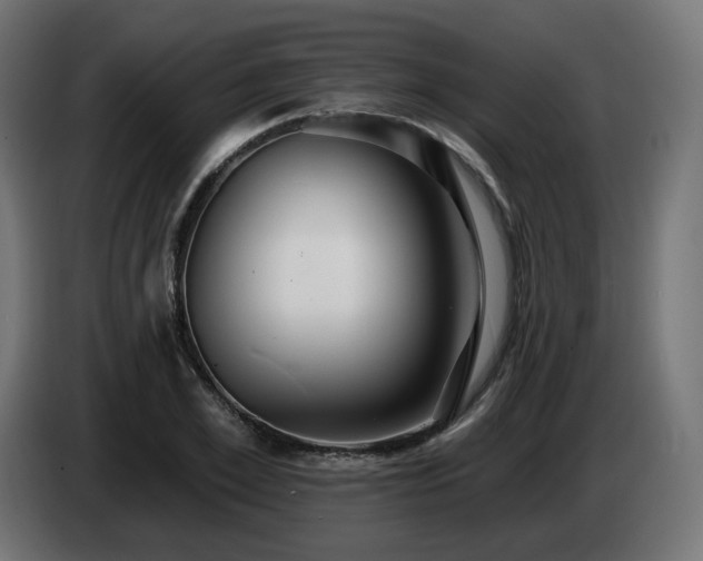 X0000084540981200703021440