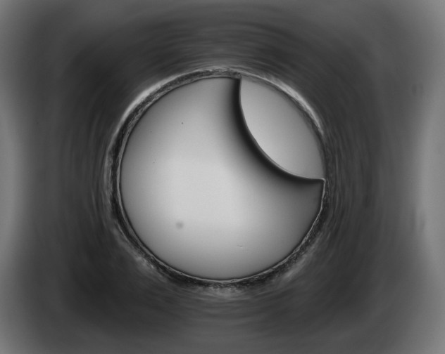 X0000084540983200703021440
