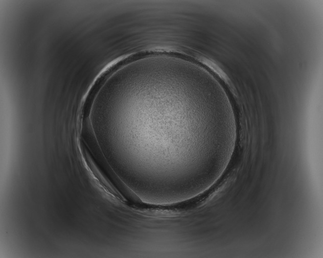 X0000084540984200703021440