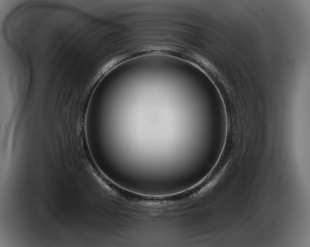 X0000084540985200703021440