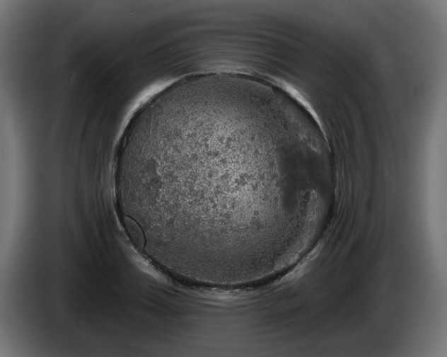 X0000084540987200703021440