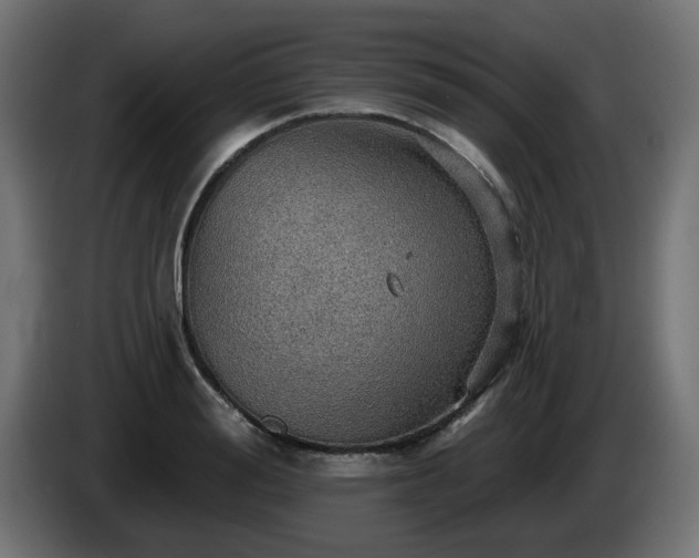 X0000084540988200703021439
