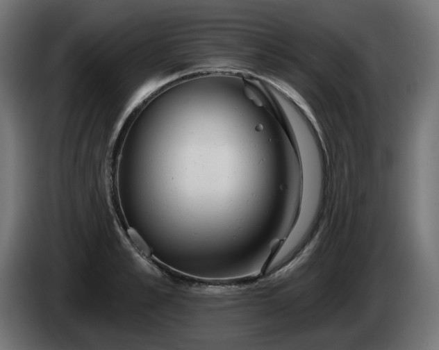 X0000084540989200703021439