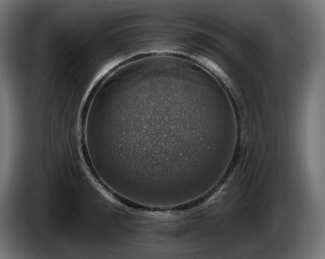 X0000084540990200703021439