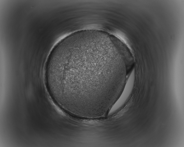 X0000084540991200703021439