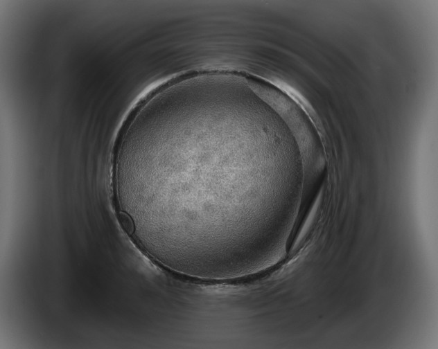 X0000084540992200703021439