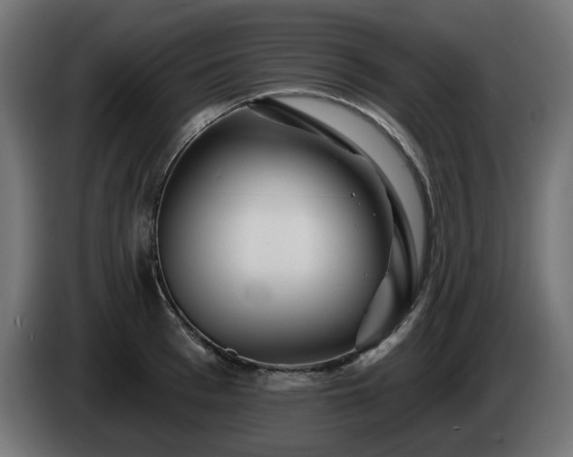 X0000084540993200703021439