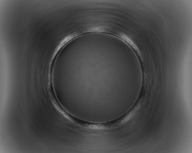 X0000084540994200703021439