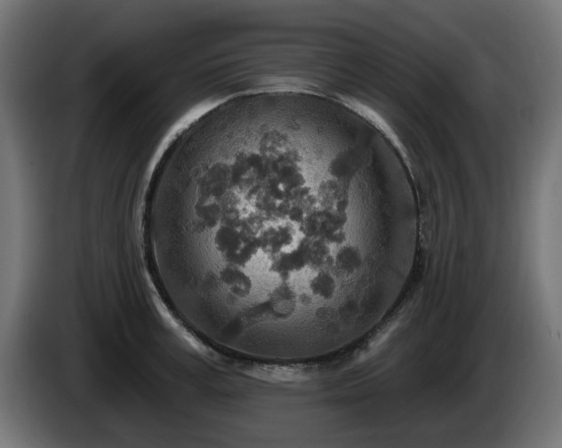 X0000084540995200703021439
