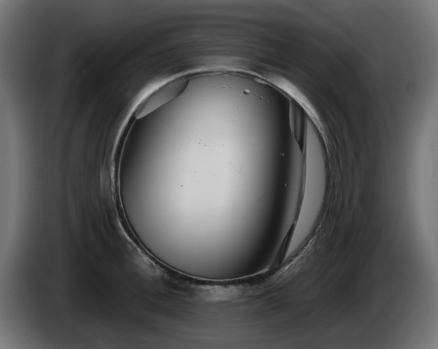 X0000084540996200703021439