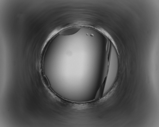 X0000084540997200703021439