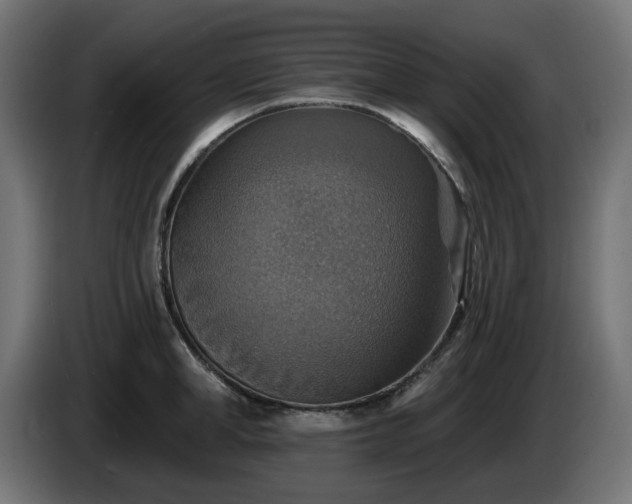 X0000084540998200703021439