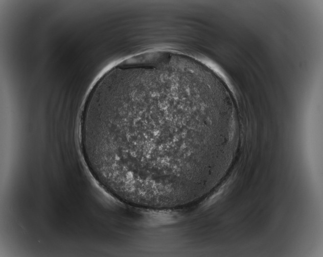 X0000084540999200703021439